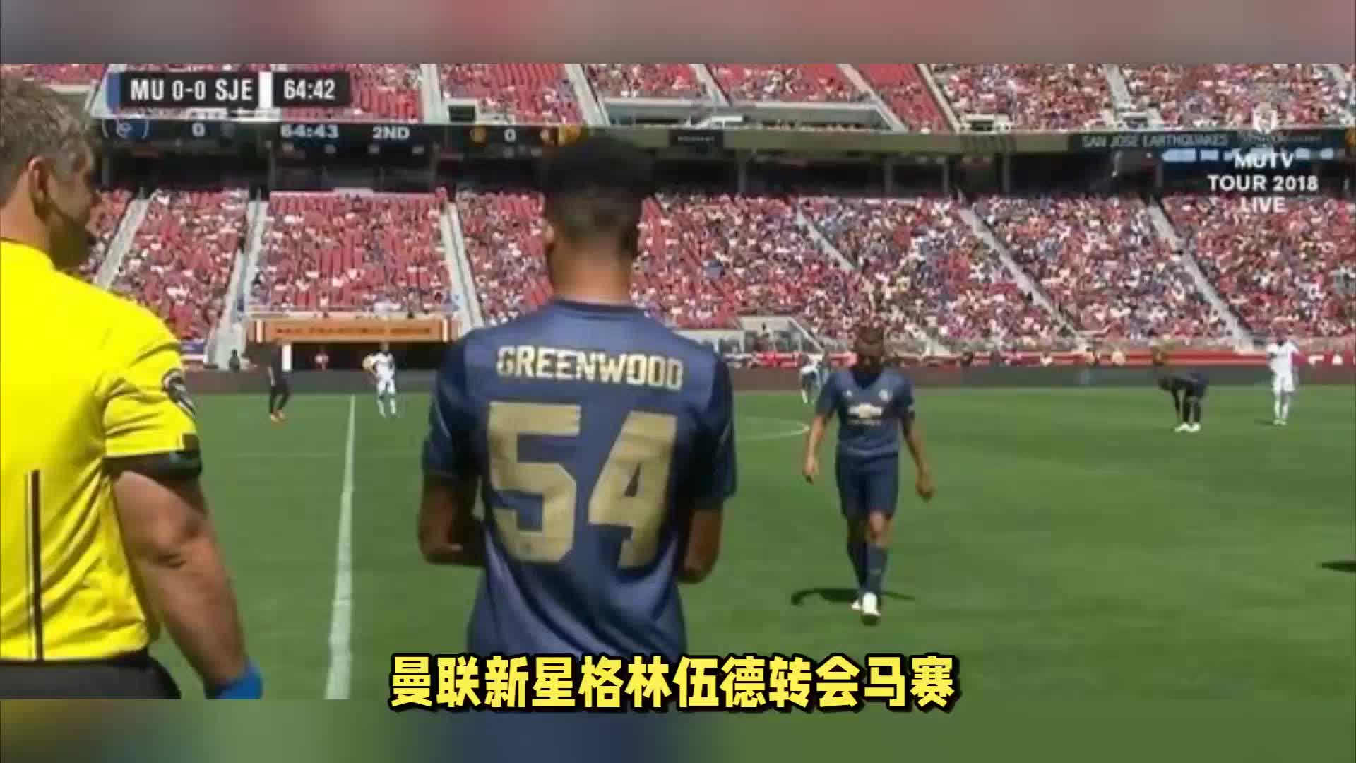 篮球协